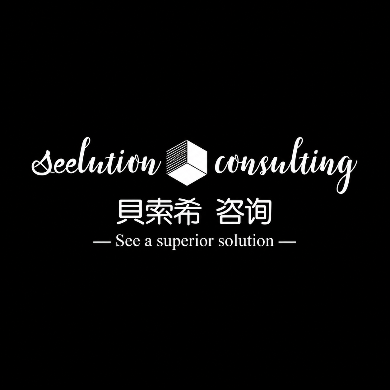 Seelution Consulting 貝索希 — See a superior solution